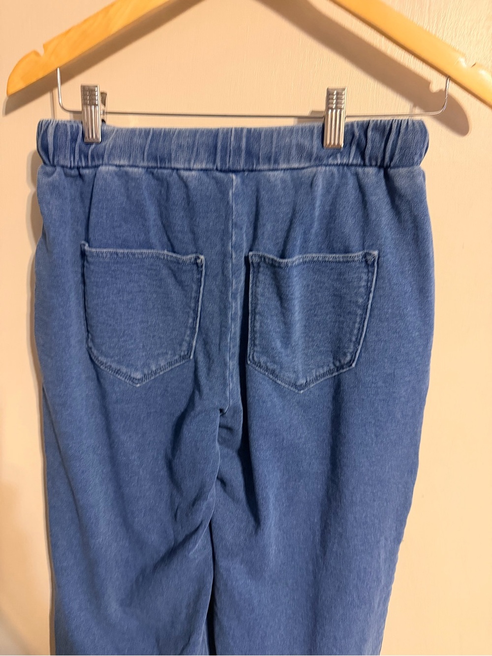 Driftwood XSP Floral Embroidered Blue Cotton Jogger Pants Boho Cottagecore - Picture 9 of 10